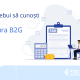 Ce ar trebui să cunoști despre E-factura B2G